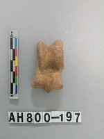 藏品(獸骨殘骸)的圖片